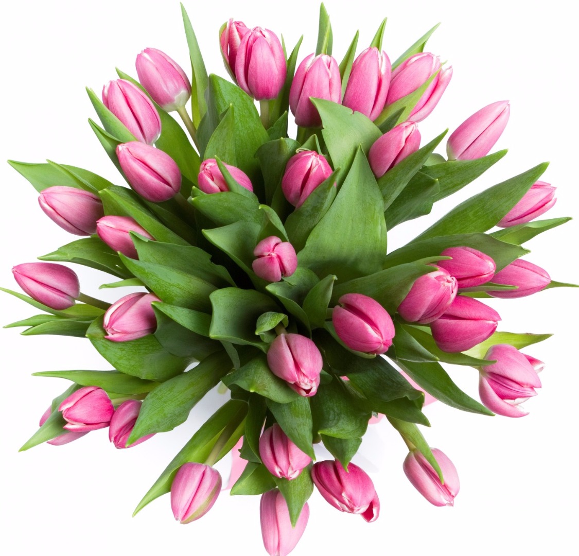 купить цветы Букет из розовых тюльпанов